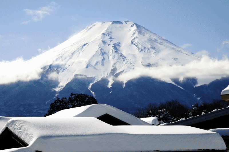 �A�j���e�X�g�B